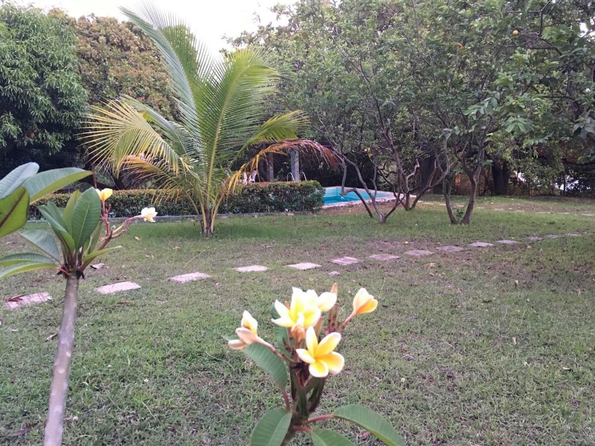 Native House With Beautiful Pool Villa Bagac Bagian luar foto